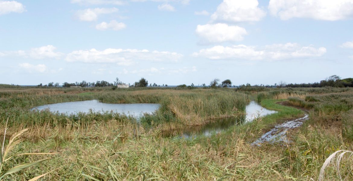 Canale Reale - Riserva di Torre Guaceto