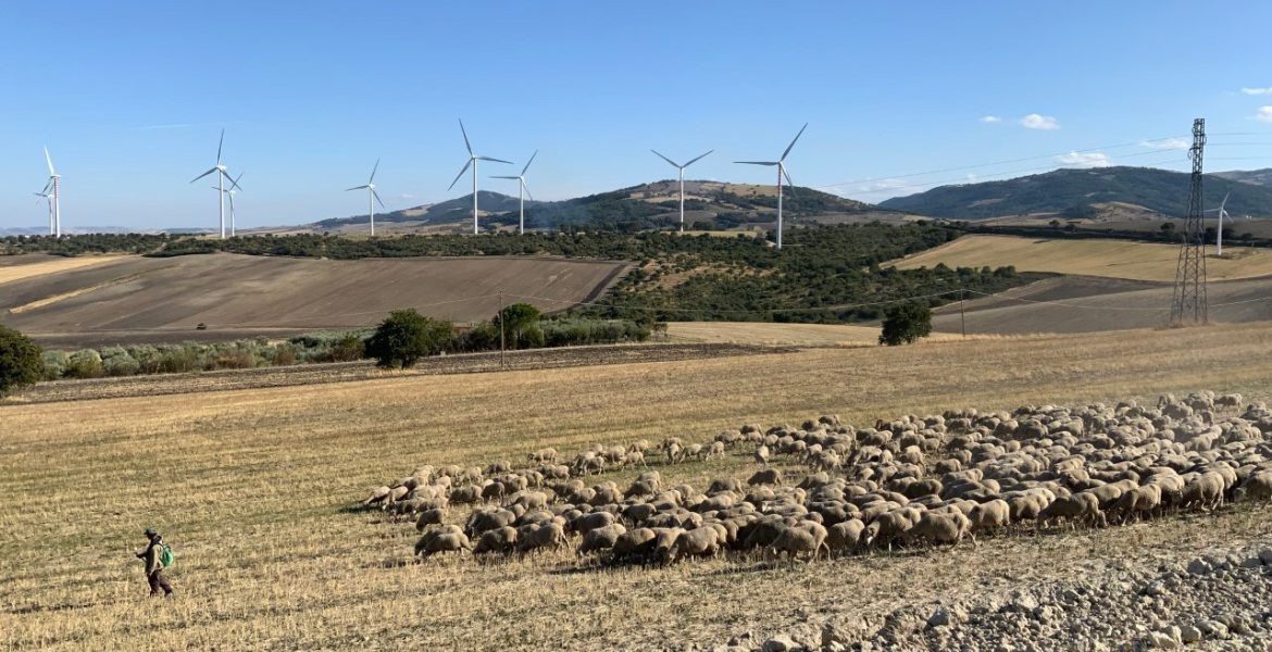 tratturello Foggia-Camporeale.